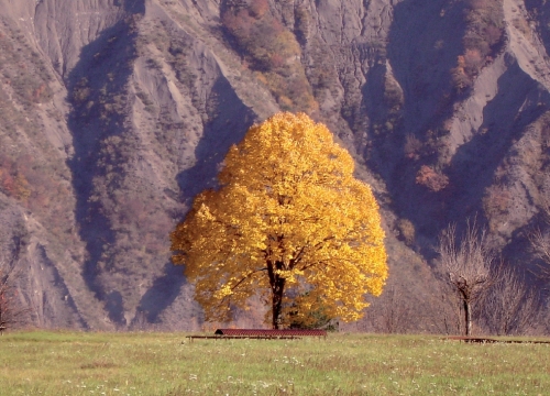 I calanchi fanno da sfondo all'area archeologica di Marzabotto (foto Iago Corazza)