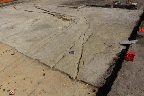 Le tracce delle palizzate sul suolo di base della terramara di Pragatto