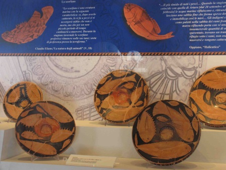 Piatti da pesce in ceramica a figure rosse, IV sec. a.C.  (Museo Archeologico Nazionale di Ferrara)