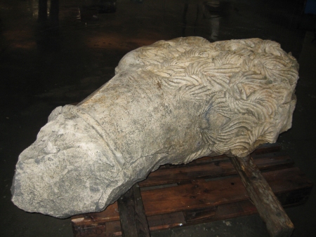 Il leone di Fossalta, splendida scultura in calcare bianco, di et augustea