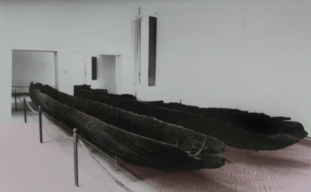 Le due imbarcazioni monossili recuperate nel 1940 a Valle Isola. Dopo vent'anni il pubblico pu rivederle nel Museo di Ferrara