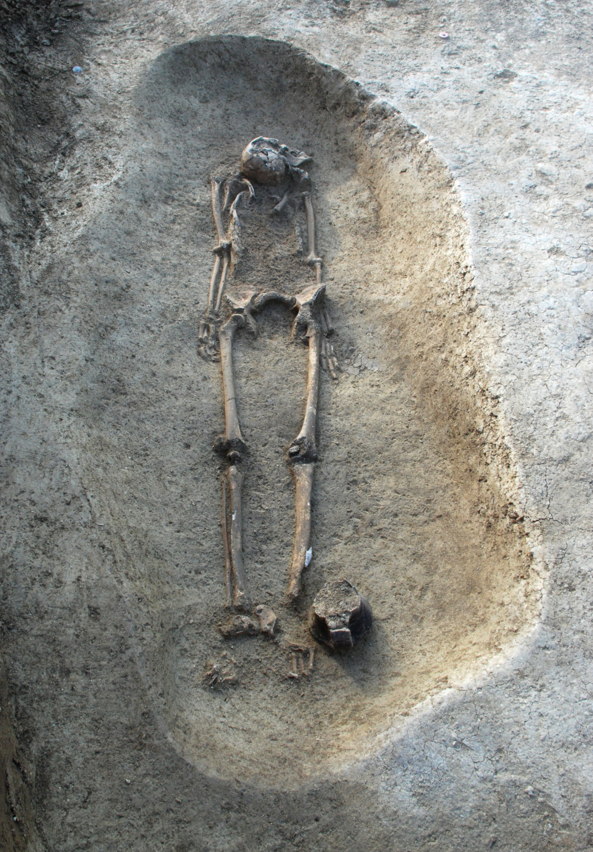Forl, necropoli di via Celletta dei Passeri - Tomba a inumazione con il recipiente ceramico di corredo deposto ai piedi del defunto