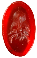 Corniola rossa (scavi 2000)