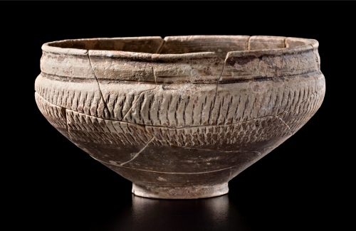 Coppa in ceramica a pareti sottili (seconda met I sec. d.C.)